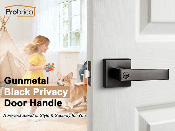 Heavy Duty Door Handles Gunmetal Black Finish, Privacy/Passage/Dummy Function, DL01GB