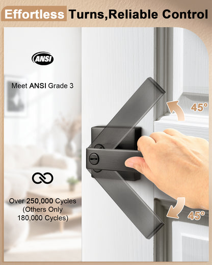 Heavy Duty Door Handles Gunmetal Black Finish, Privacy/Passage/Dummy Function, DL01GB