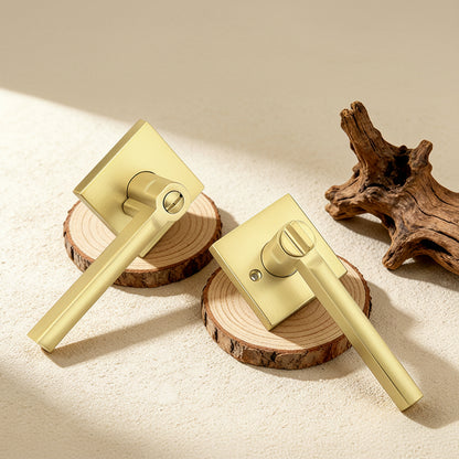 Heavy Duty Door Handles Gold Finish, Privacy/Passage Function, DL1603GD