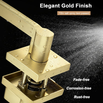 Heavy Duty Door Handles Gold Finish, Privacy/Passage Function, DL1603GD