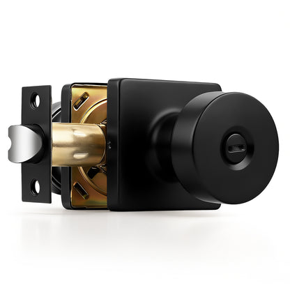 Probrico Privacy/Passage/Dummy/Keyed Door Knobs Interior, Classic Square Panel Door Knob