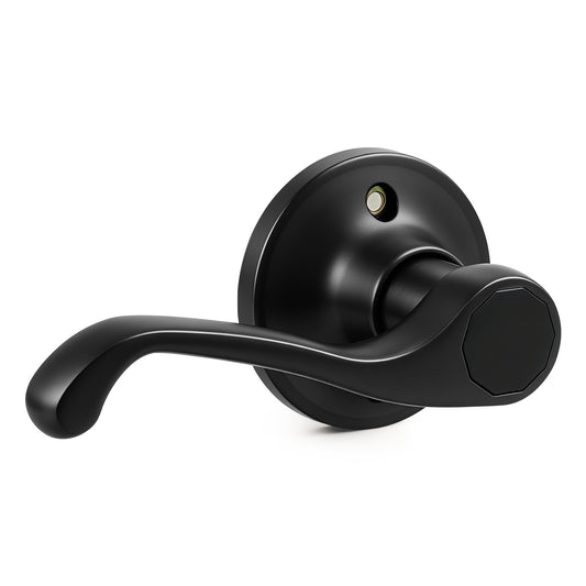 Probrico 2026 New Dummy Door Handle Black, Non-Turning Dummy Door Lever,Decorative Interior Door Handle for Closet, Pantry, and French Doors, Reversible for Left or Right Door