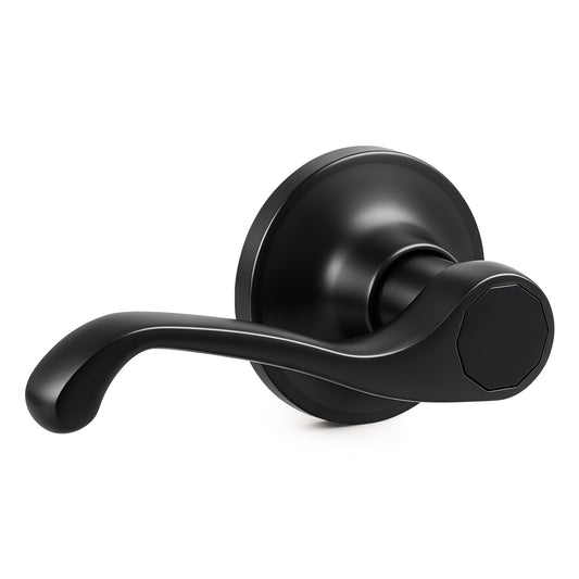 Probrico 2026 New Scroll Passage Door Lever, Matte Black Interior Door Handle, Easy Install for Hallway & Closet Door, No Lock Passage Design,Reversible for Left/Right Handed Door, Heavy Duty