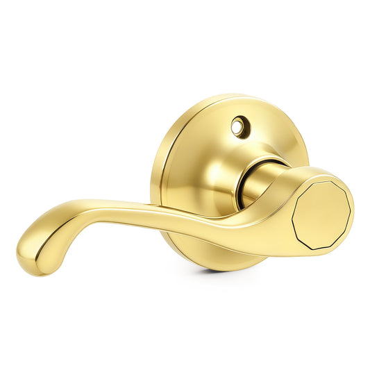 Probrico 2026 New Dummy Door Handle Polished Brass, Non-Turning Dummy Door Lever,Decorative Interior Door Handle for Closet, Pantry, and French Doors, Reversible for Left or Right Door